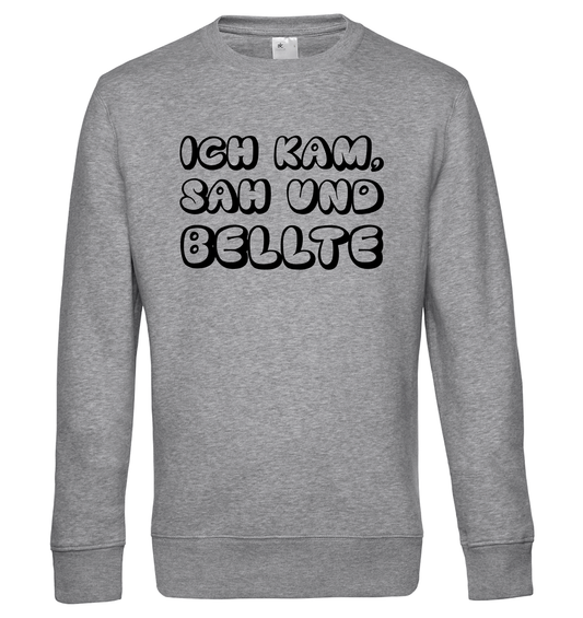 Ich kam, sah und bellte