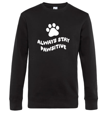 Always stay pawsitive