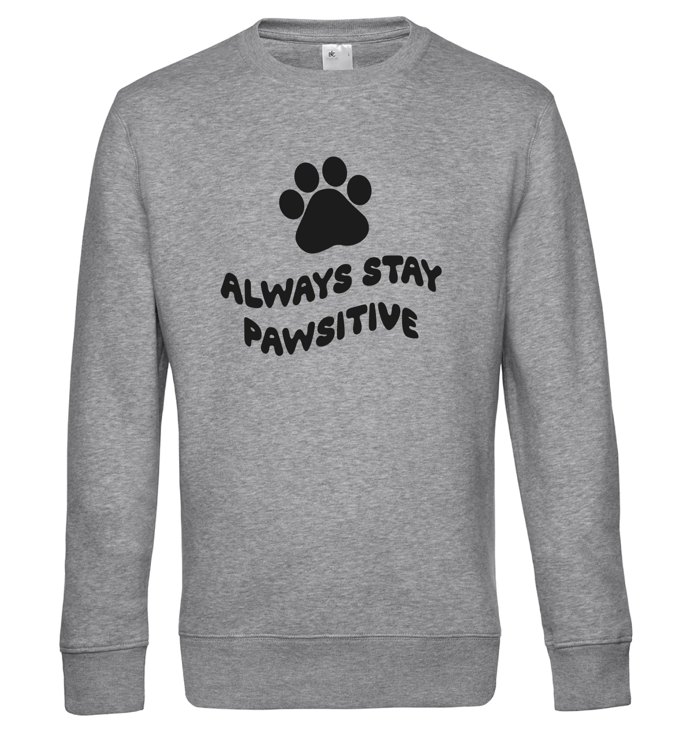 Always stay pawsitive