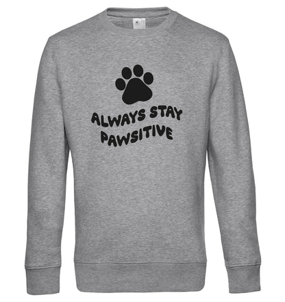 Always stay pawsitive