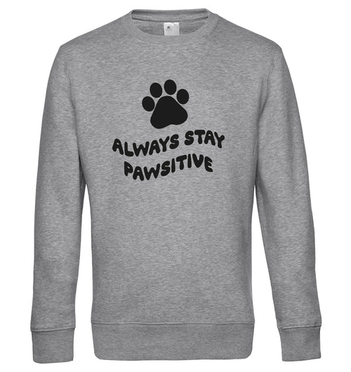 Always stay pawsitive